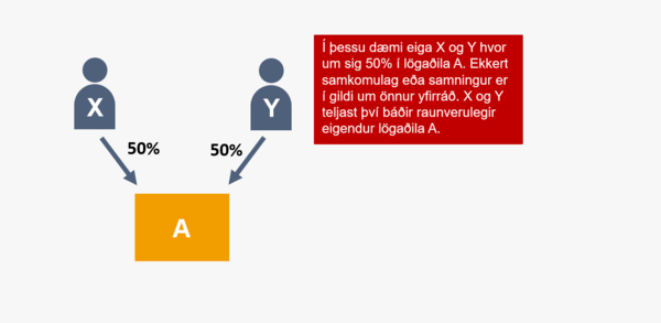 Raunverulegur eigandi dæmi 1