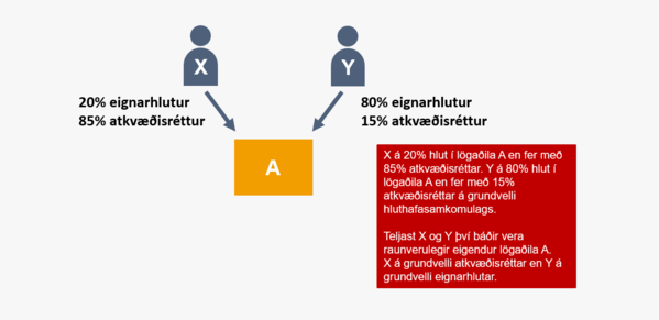 Raunverulegur eigandi dæmi 2